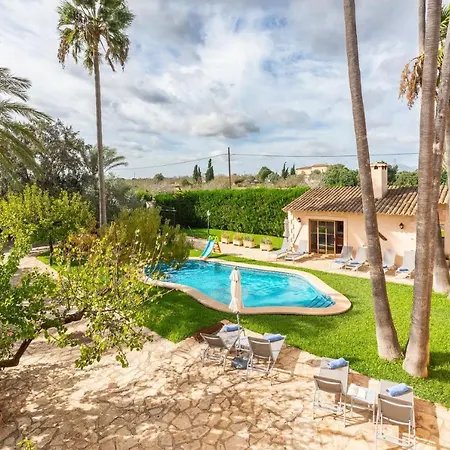 Vernissa سانتا مارجاليدا